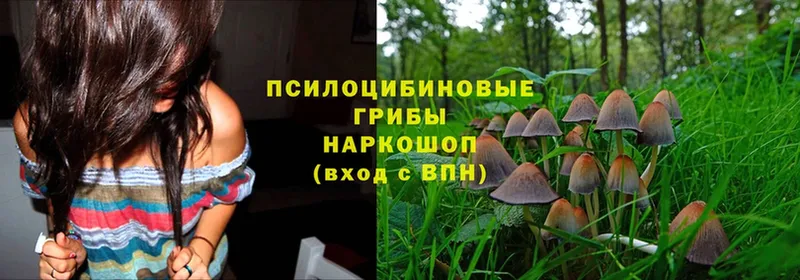 Галлюциногенные грибы Magic Shrooms  Чита 